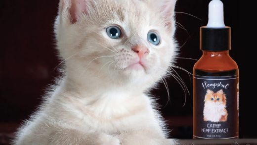 CBD Oil: A Natural Way to Keep Your Cat Healthy and Happy